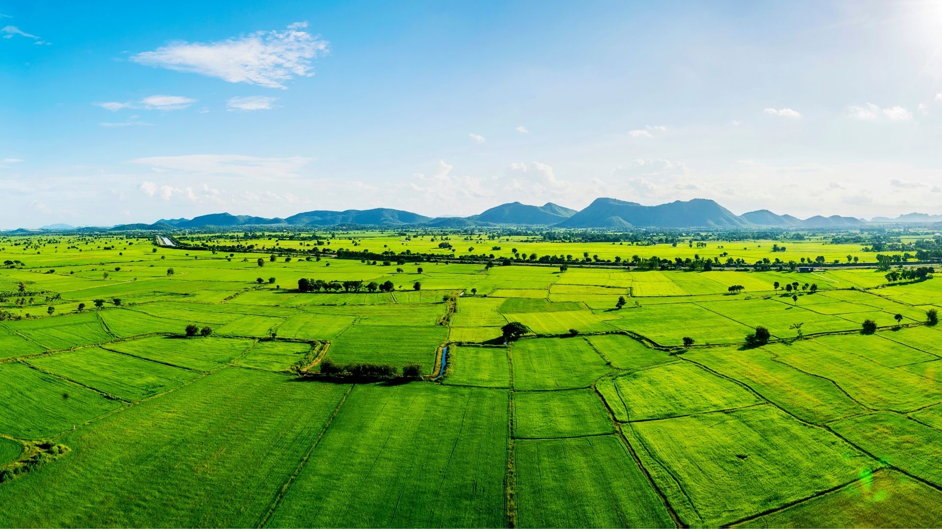 sanayi imarlı arsa